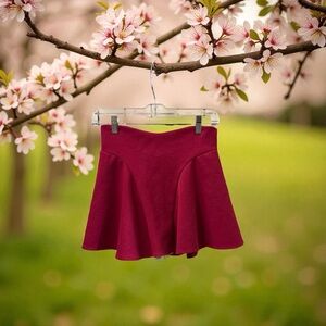 J. Jill Rich Burgundy Skater Skirt